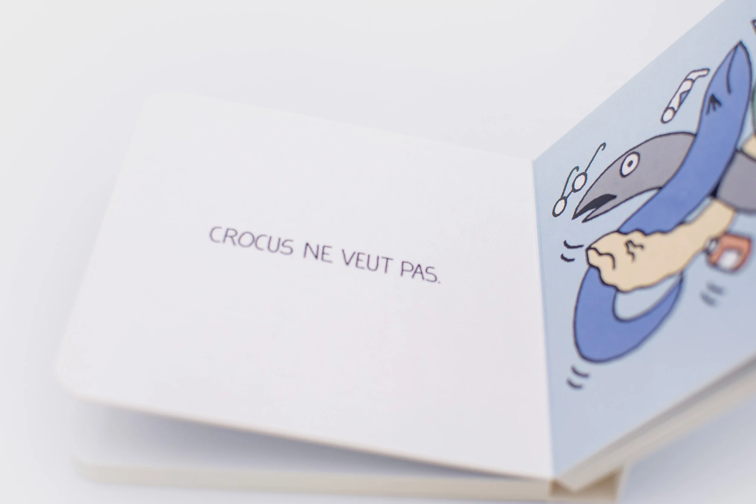 ouvert4_crocus_maalde.jpg