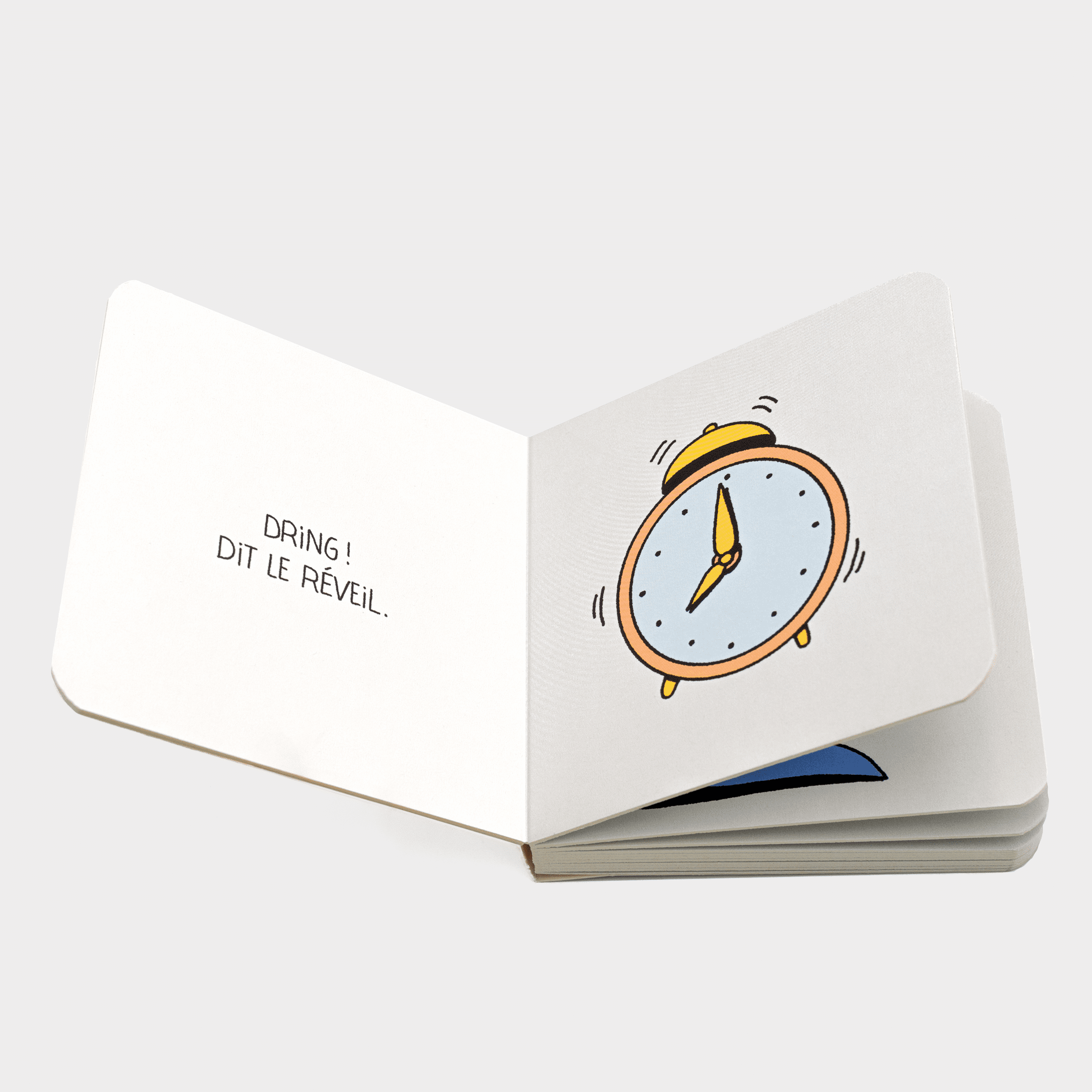 CROCUS_ECOLE_ouvert.png