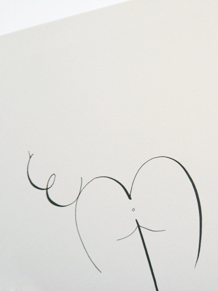 FESSE_zoom_1.jpg