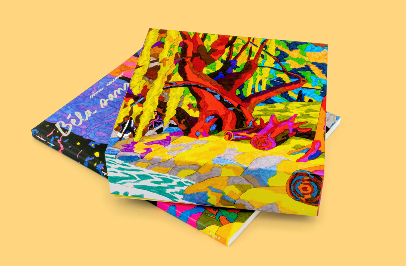 BUNDLE_BELA_boite_livre.png