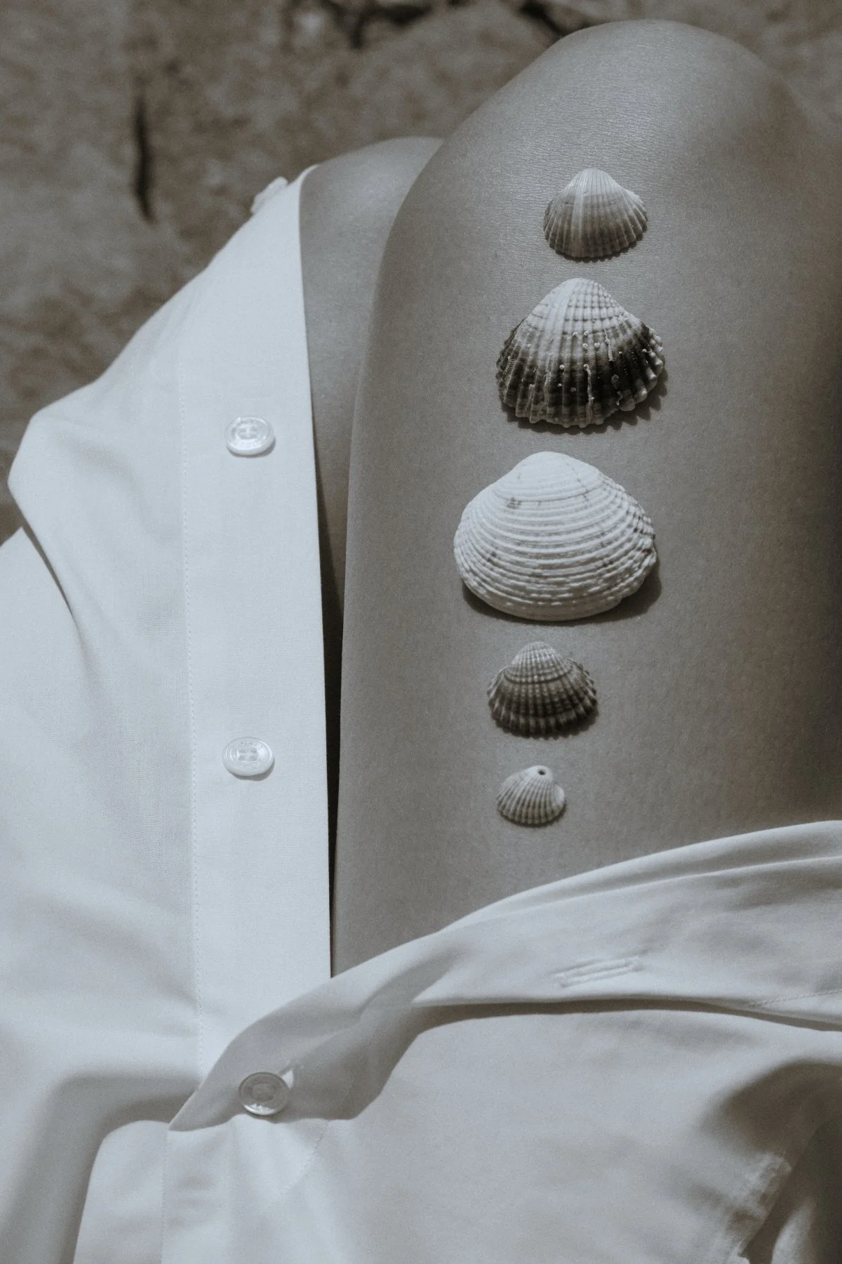 GRAIN_560A1348 1.jpg