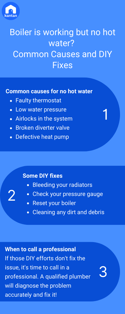 Boilers Radiator Not Warm Boiler Heating Central Heating Radiator