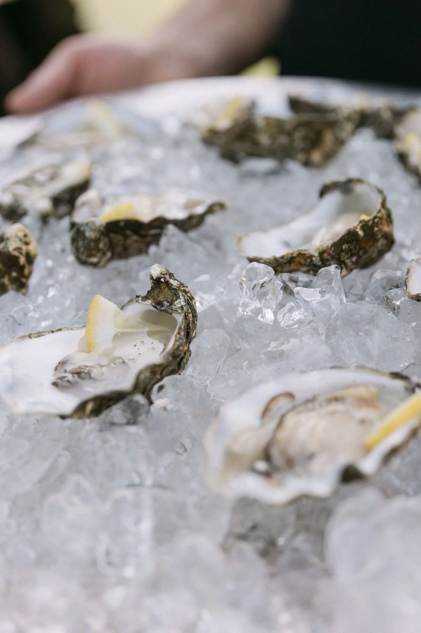 Wedding oysters as apetizers