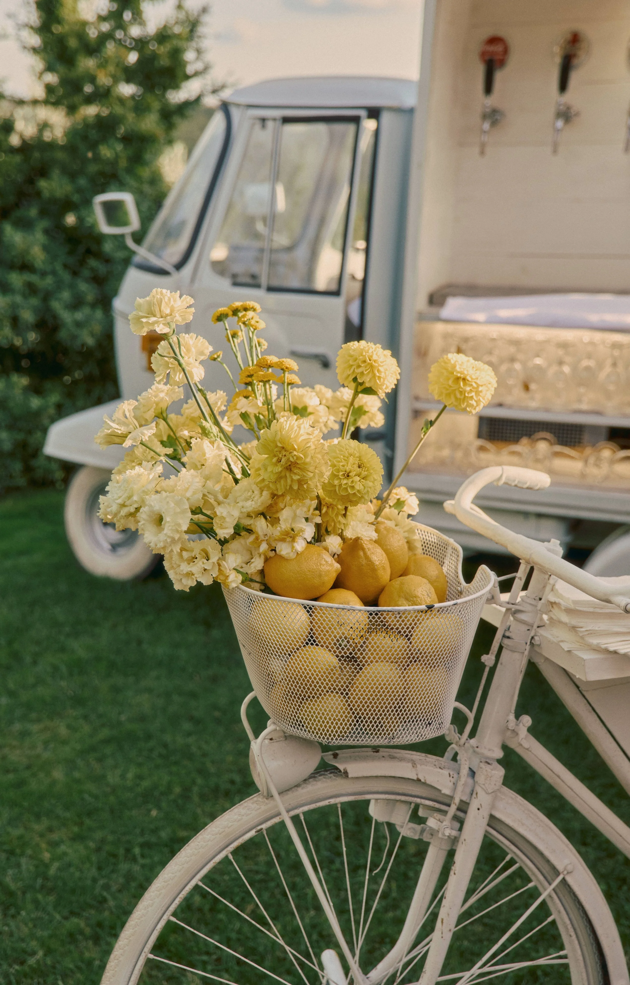Yellow flowers and lemon flower compositions