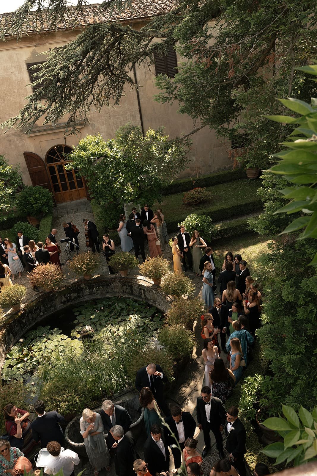 Welcome drinks at guests arrival 