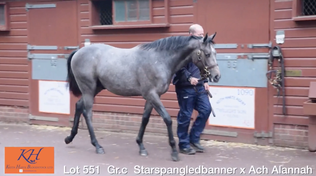 Purchasing Starspangledbanner ex Ach Alannah