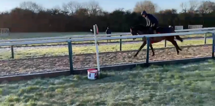 Stromboli on the gallops - January 2021 