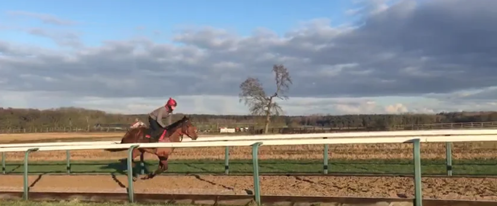 Stromboli on the gallops 