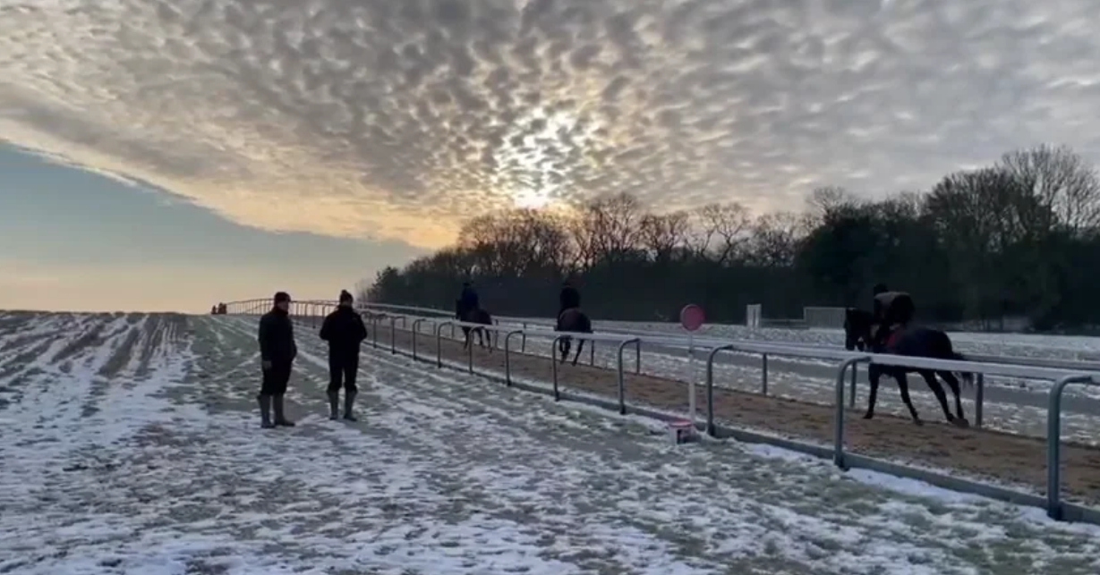Stromboli on the gallops - February 2021