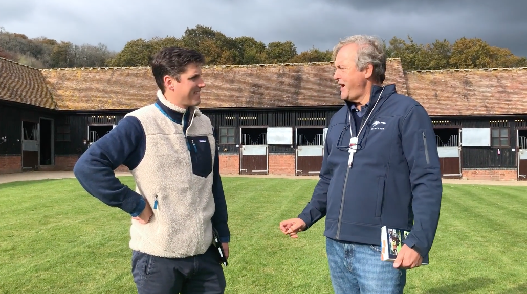 Purchasing Le Havre at Tattersalls 2020 