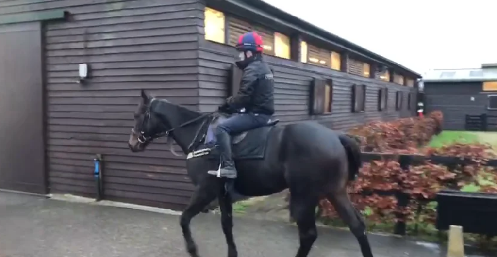 Botanist heading out to the gallops