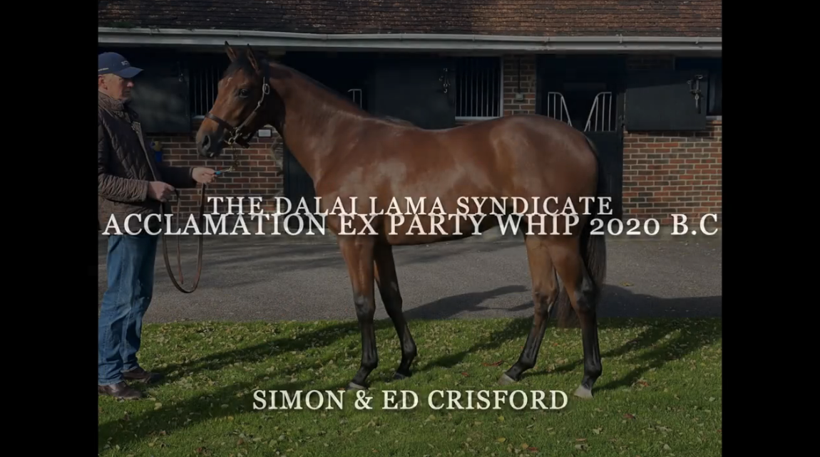 Acclamation ex Party Whip
