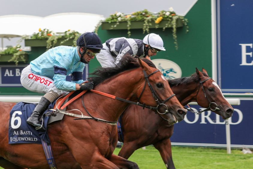 Highclere Thoroughbred Racing - Older Horses — Highclere Thoroughbred ...