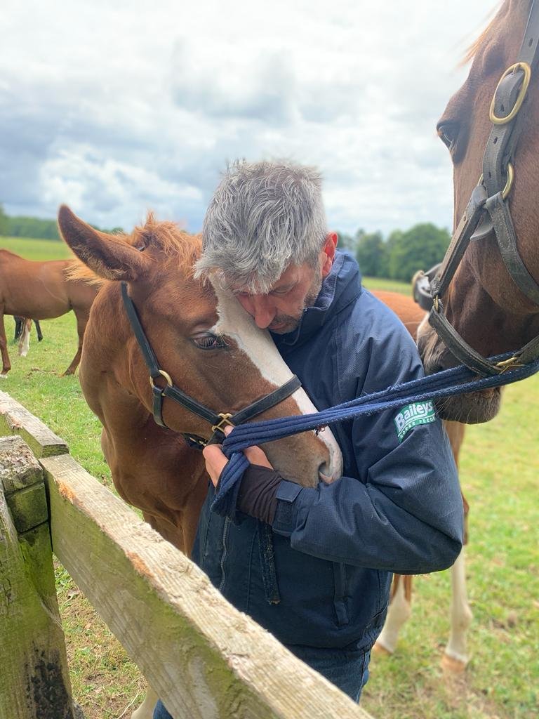 Highclere stud cuddle.jpeg