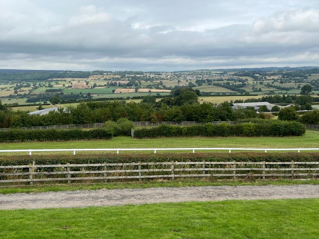 middleham gallops.jpeg