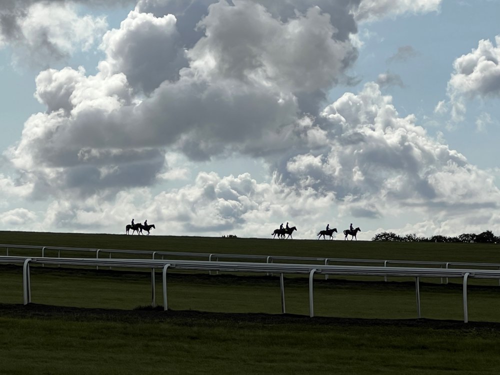 Warren Hill