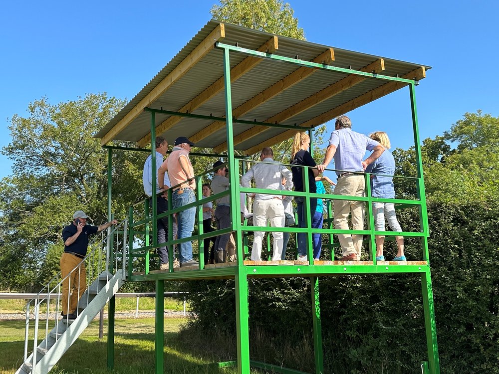 Harry's Derham watching platform