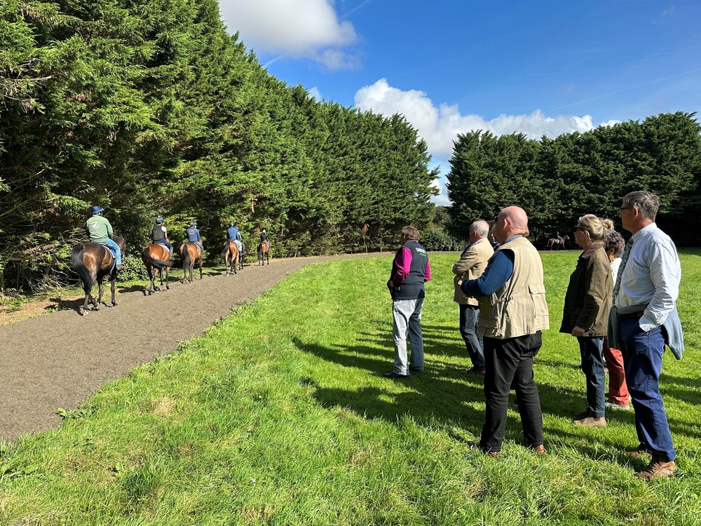 Nicky Henderson stable visit
