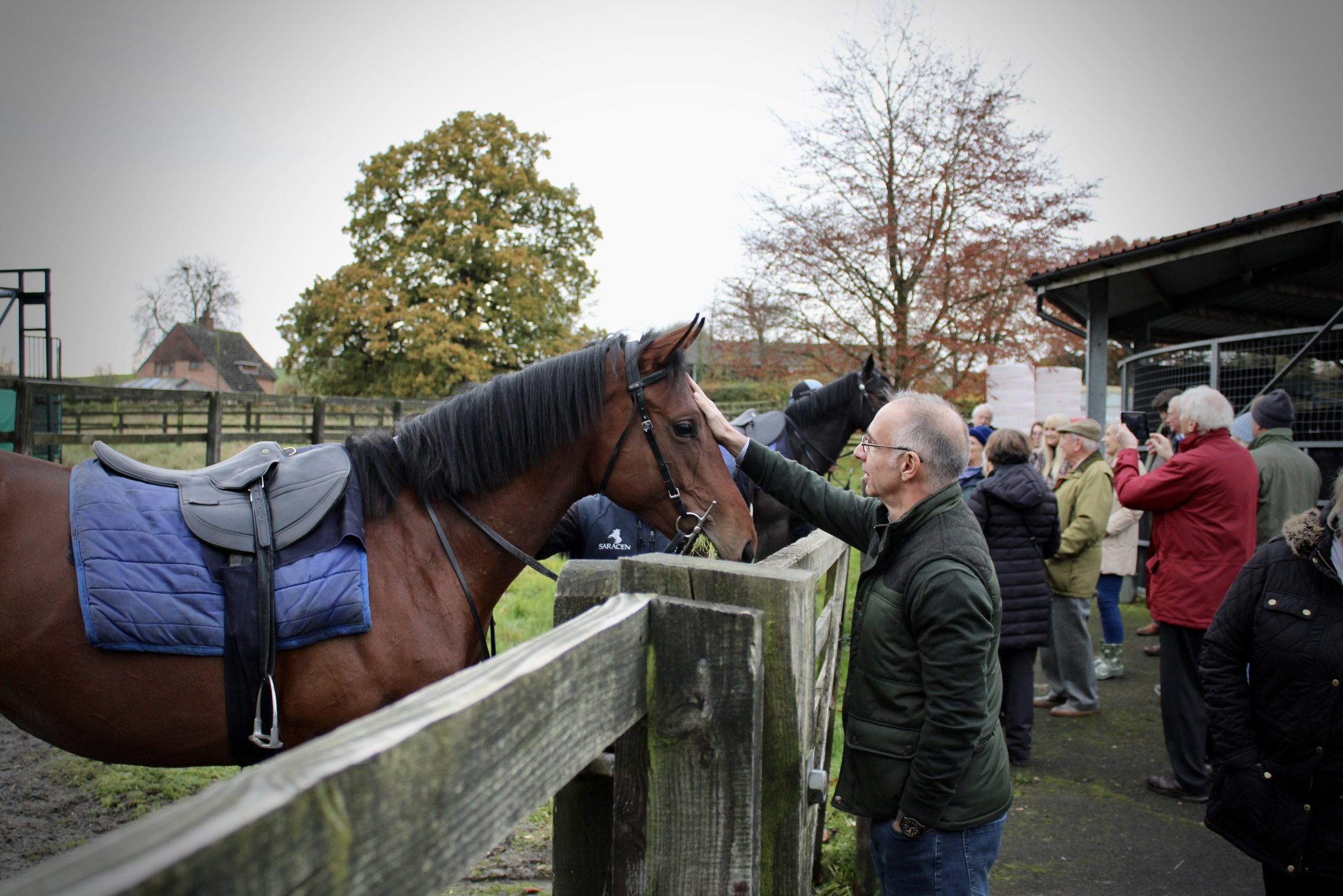 Steve Tams +Churchill - Yearling visit Brian's.JPG