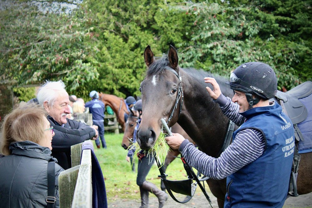 TooDarnHot - Yearling visit Brian's.JPG