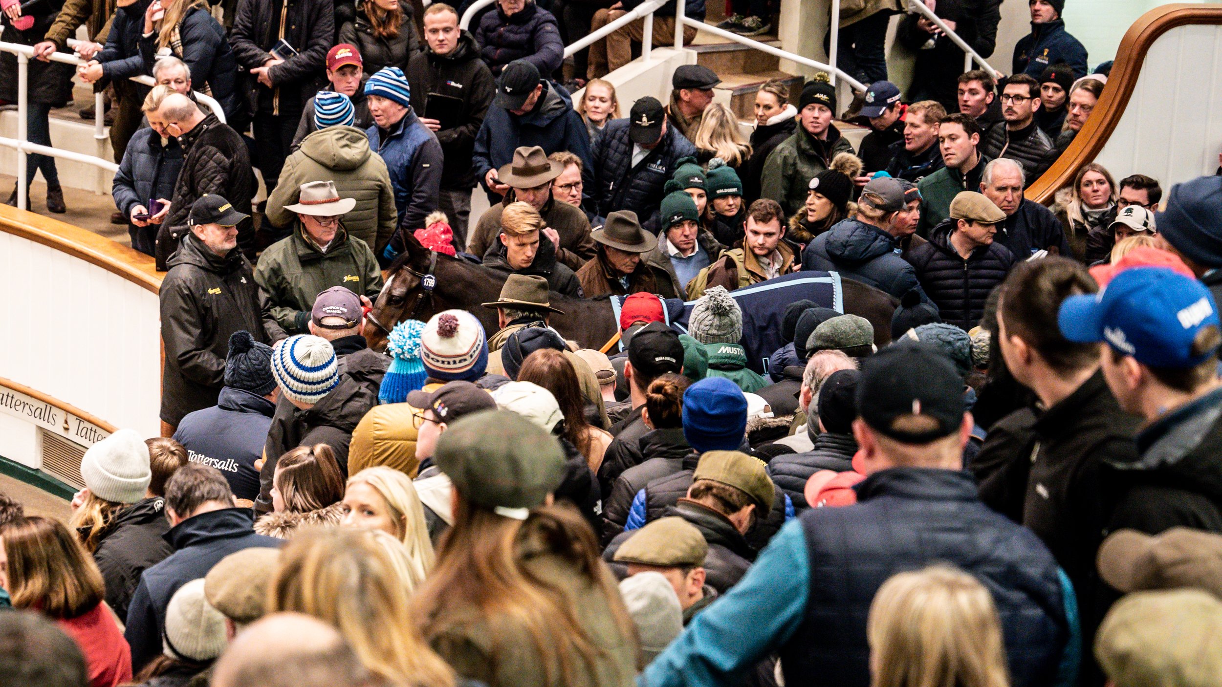 A crowded sale ring for Cachet