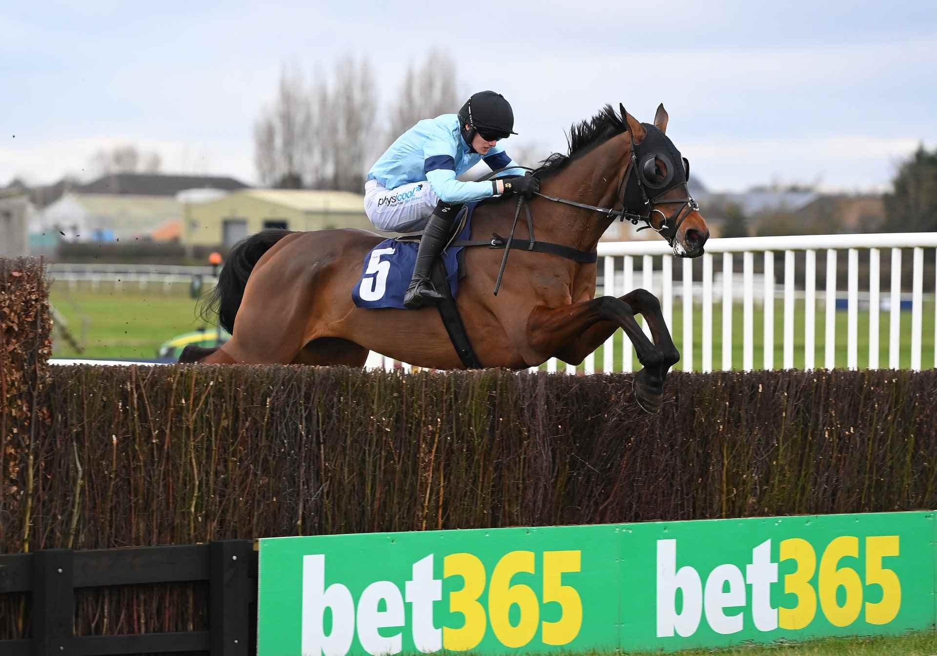 Mount Tempest winning the William Hill Epic Value Handicap Chase at Wetherby