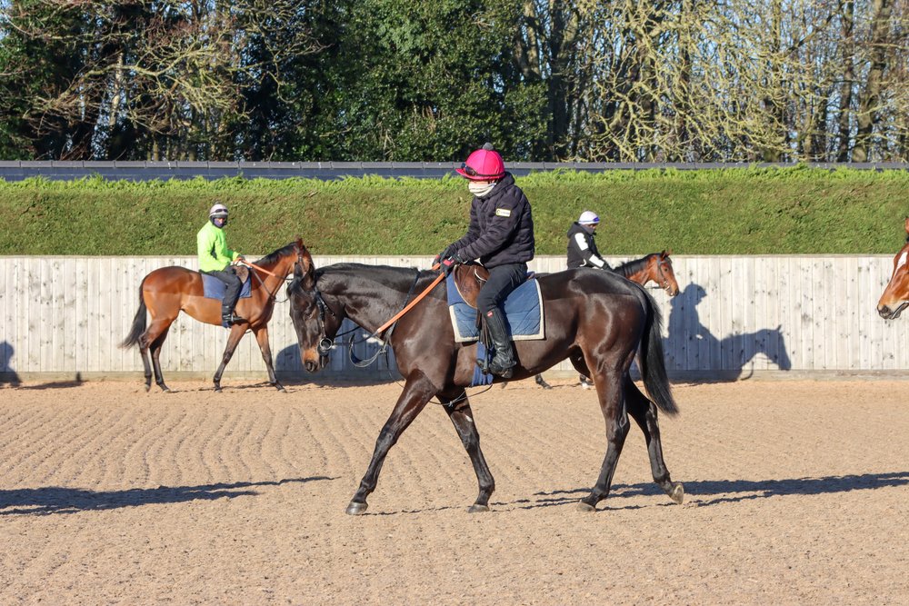 Influential Carlburg Stables