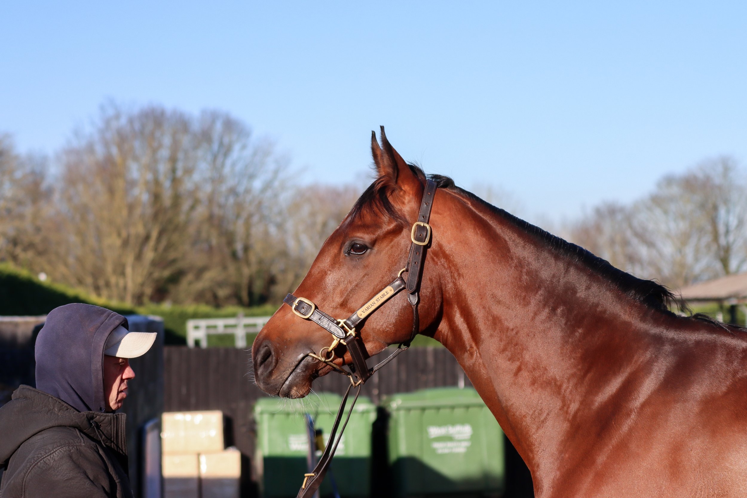 Defiance Carlburg Stables