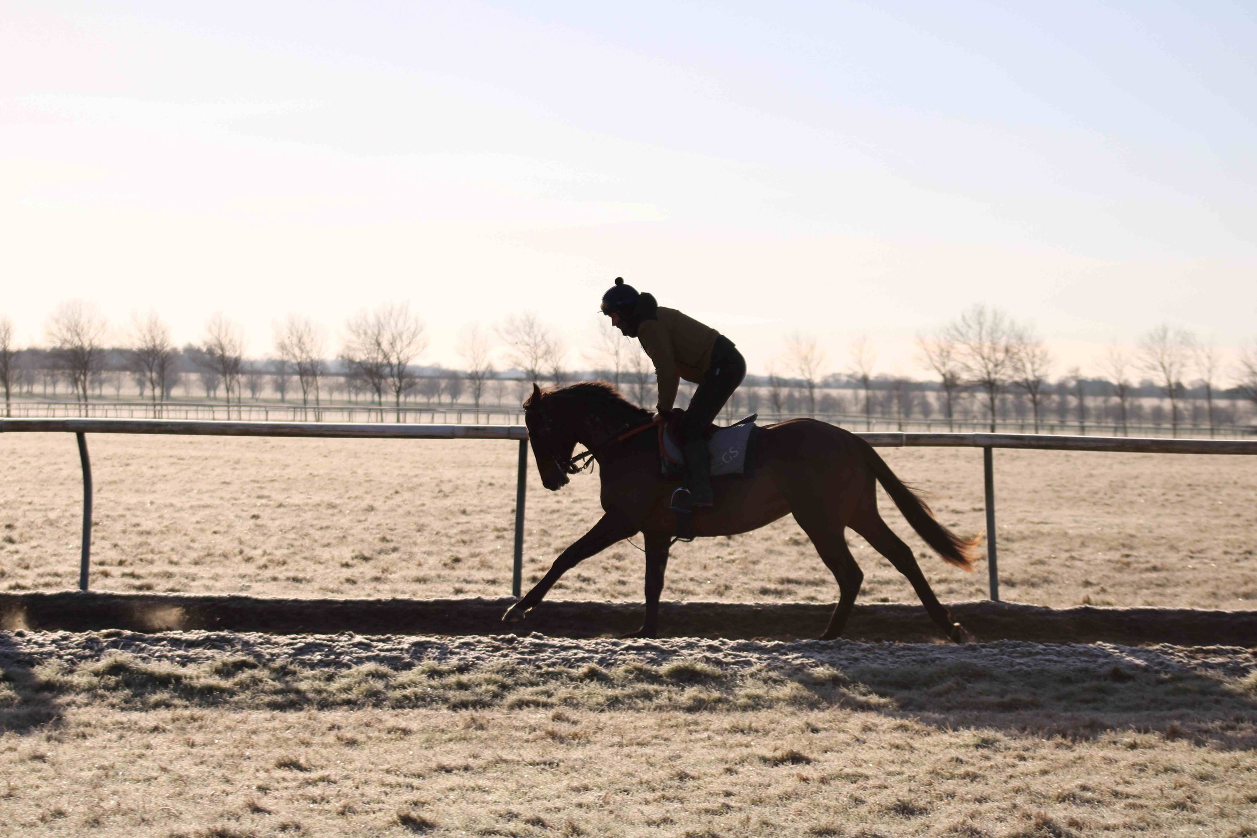 Prankster, Newmarket