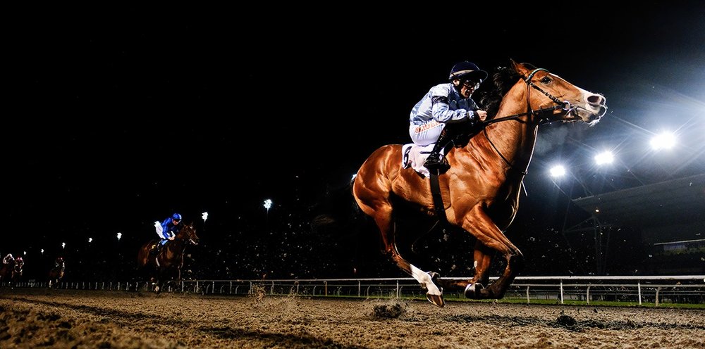 Suspicion winning at Kempton