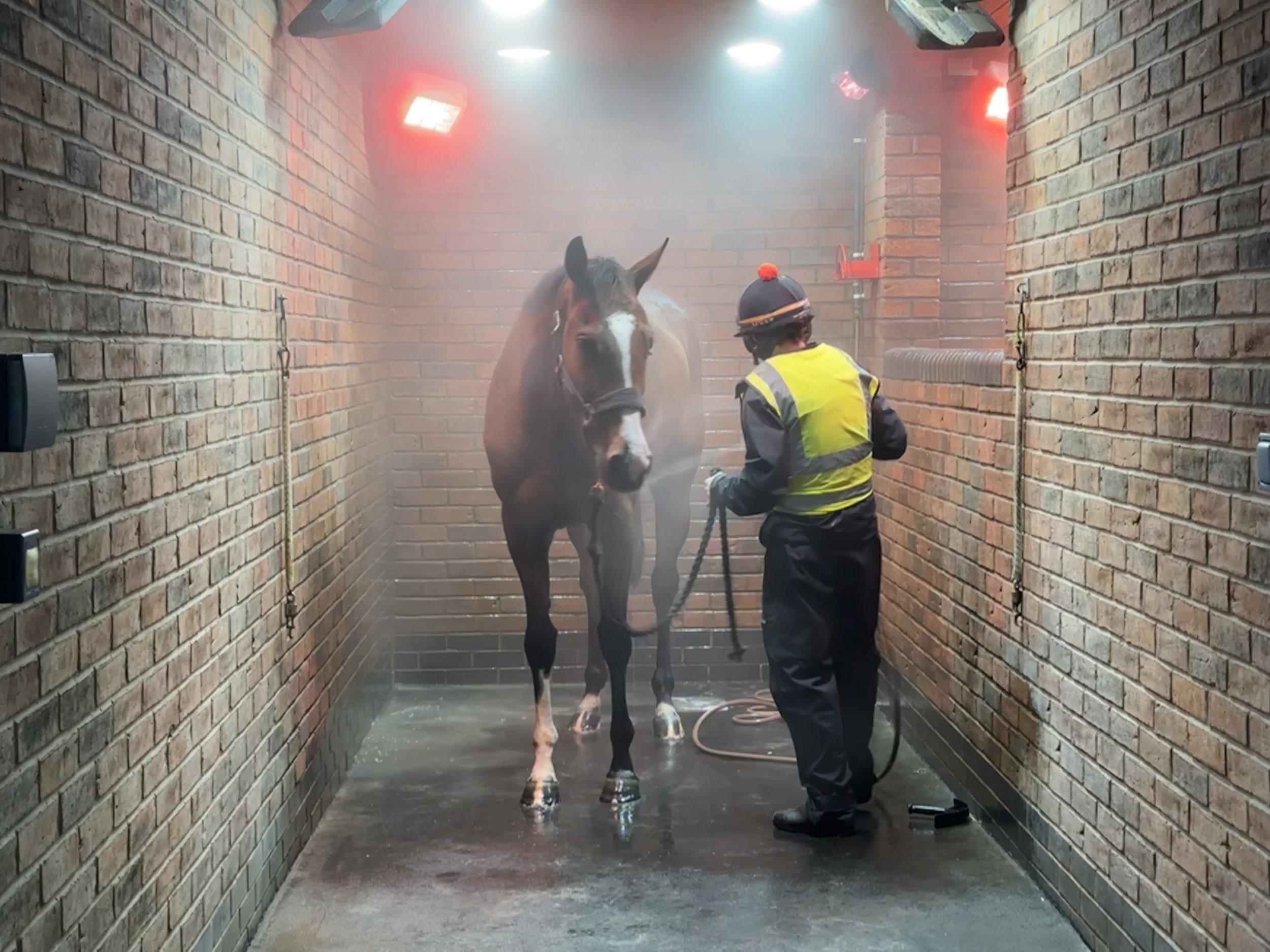 Valgrand having a shower post exercise