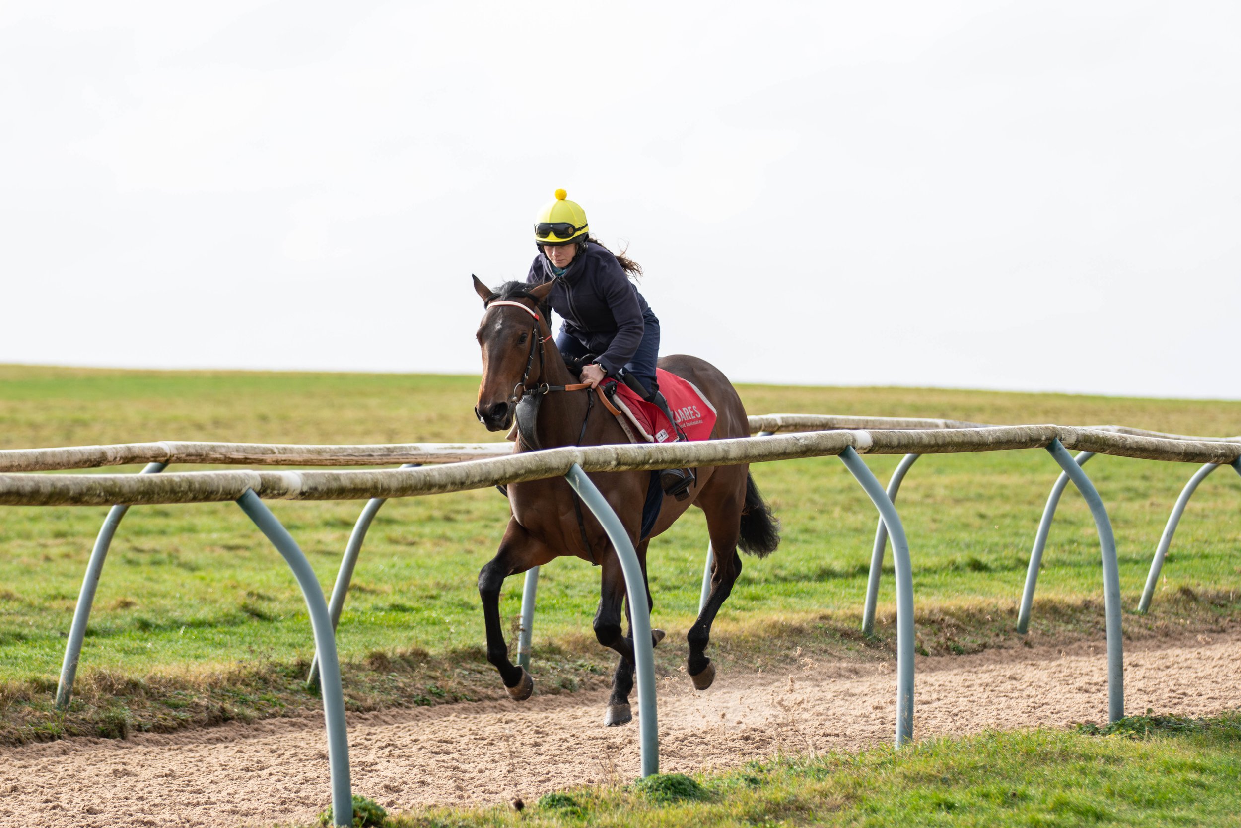 Darling on the chalk pit canter