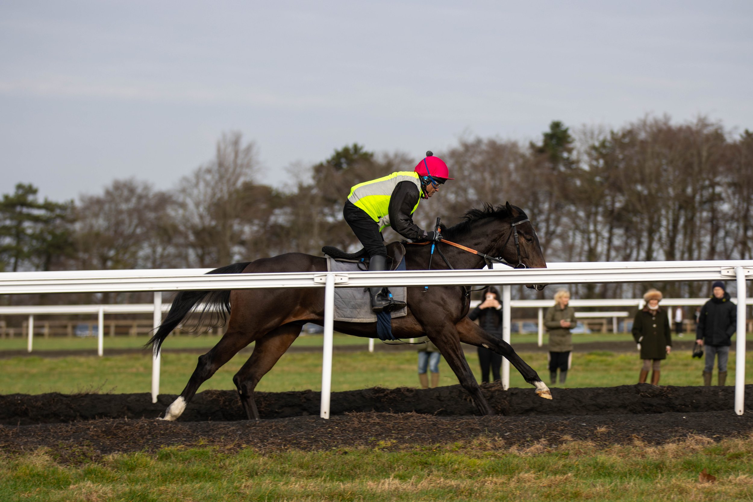 Antipodes Warren Hill