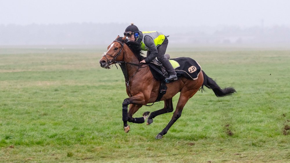 Drama gallops Newmarket