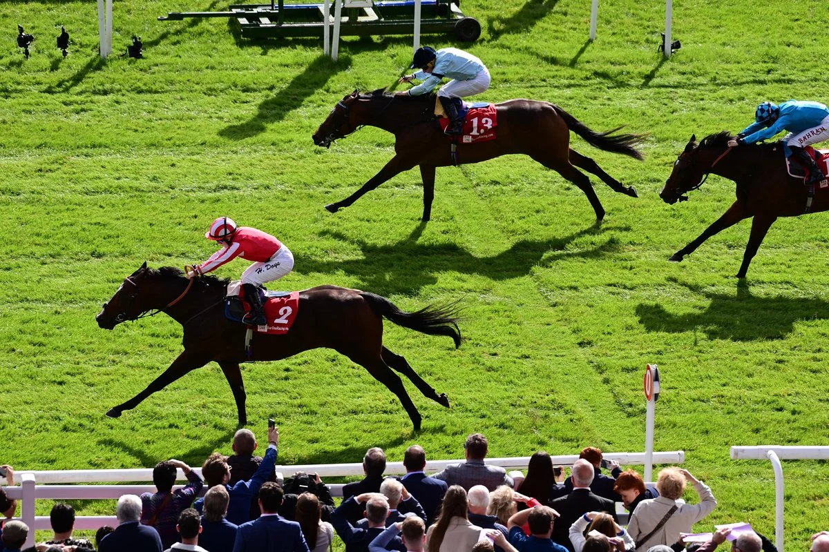 Believing coming second at The Curragh (September 2024)