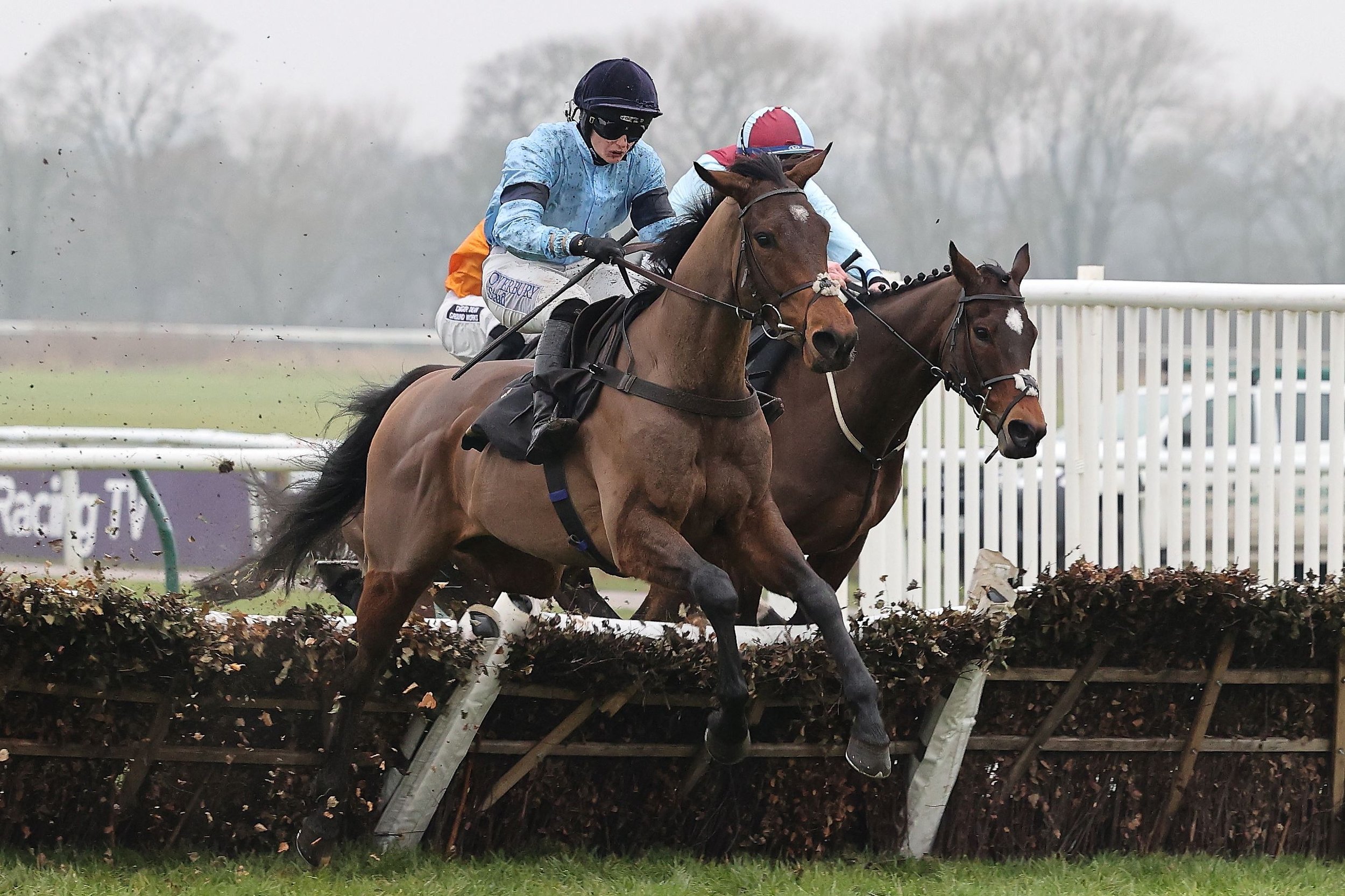 Aviemore winning at Warwick 08.02.25