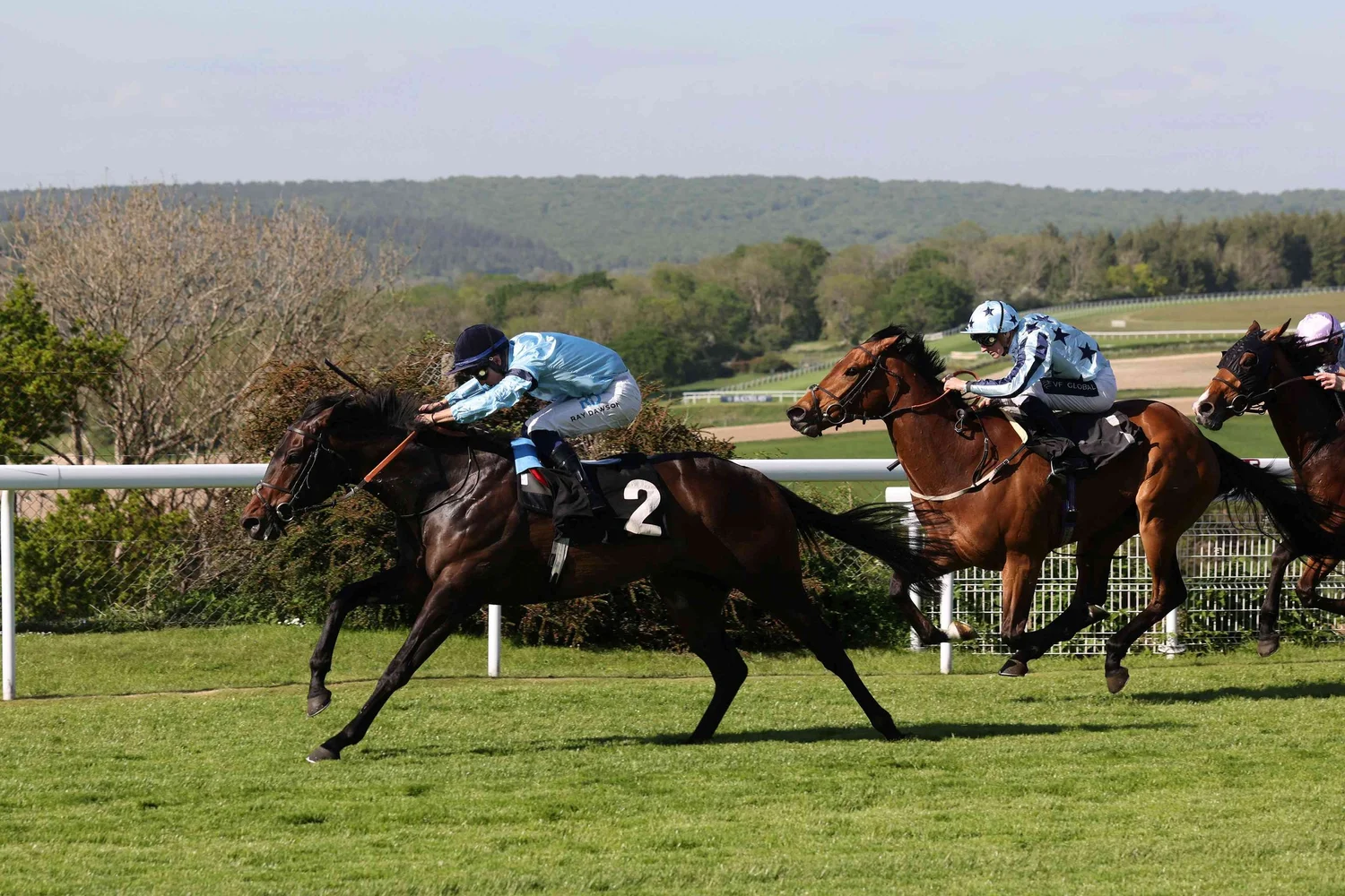 News — Highclere Thoroughbred Racing
