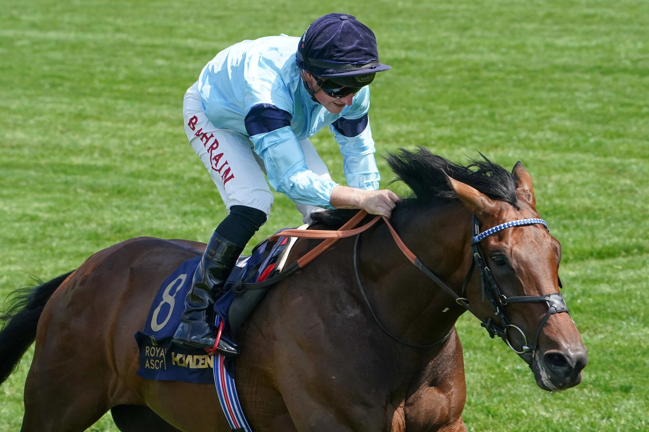 HIGHCLERE0.JPG