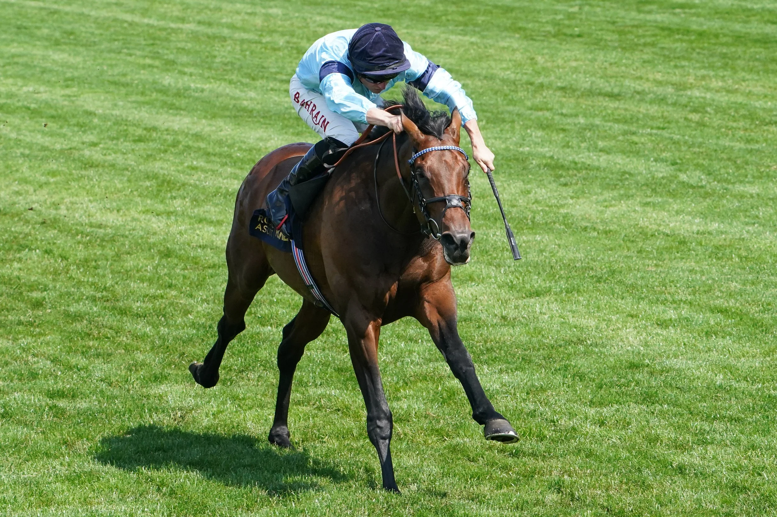 HIGHCLERE1.JPG