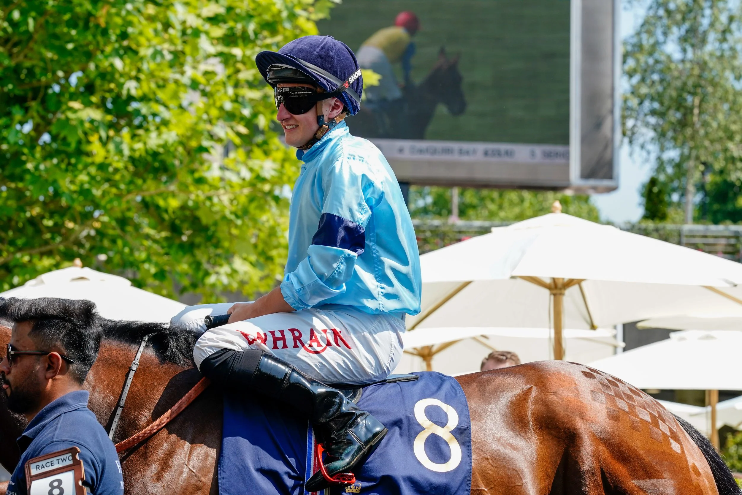 HIGHCLERE3.JPG