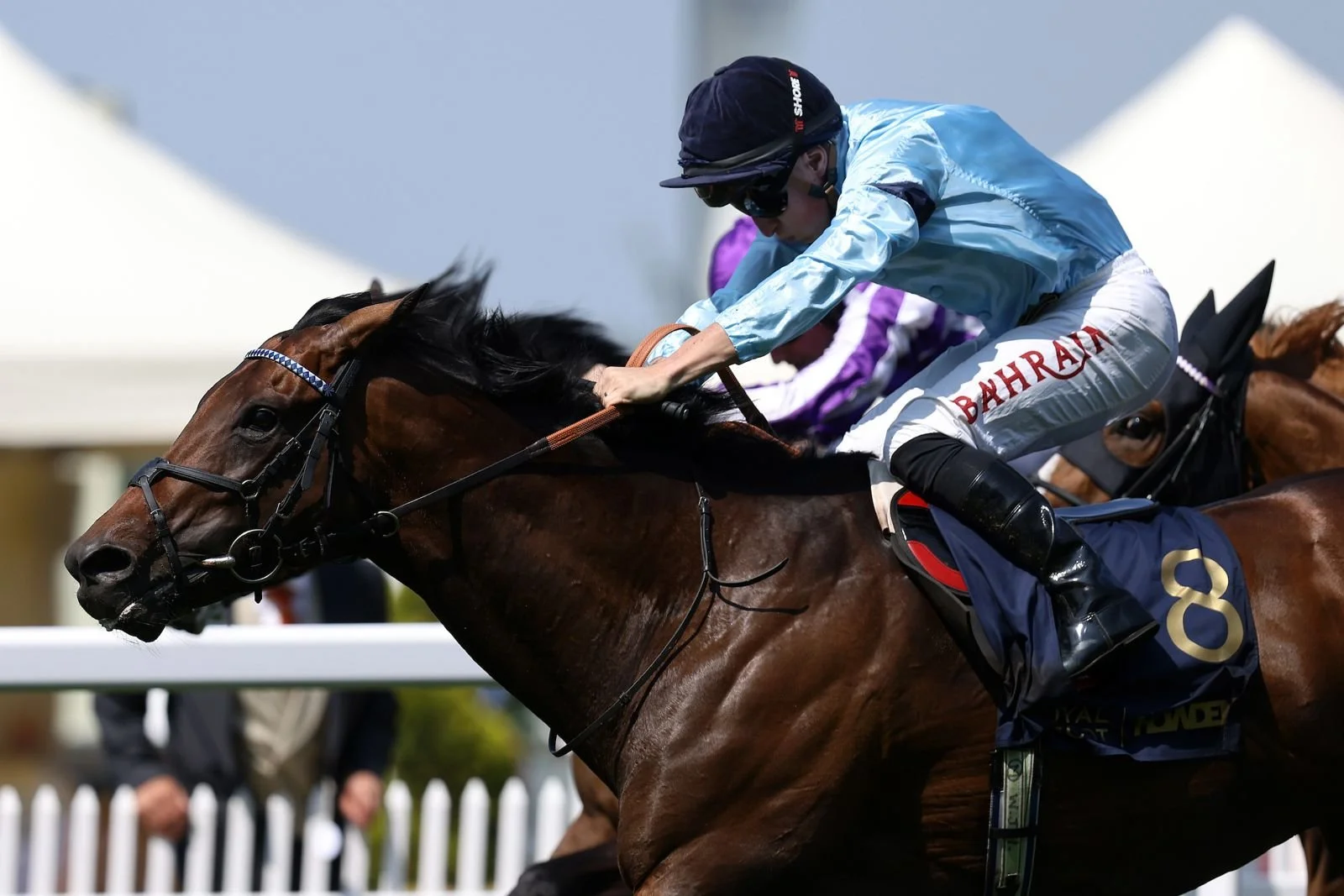 Highclere at Royal Ascot — Highclere Thoroughbred Racing
