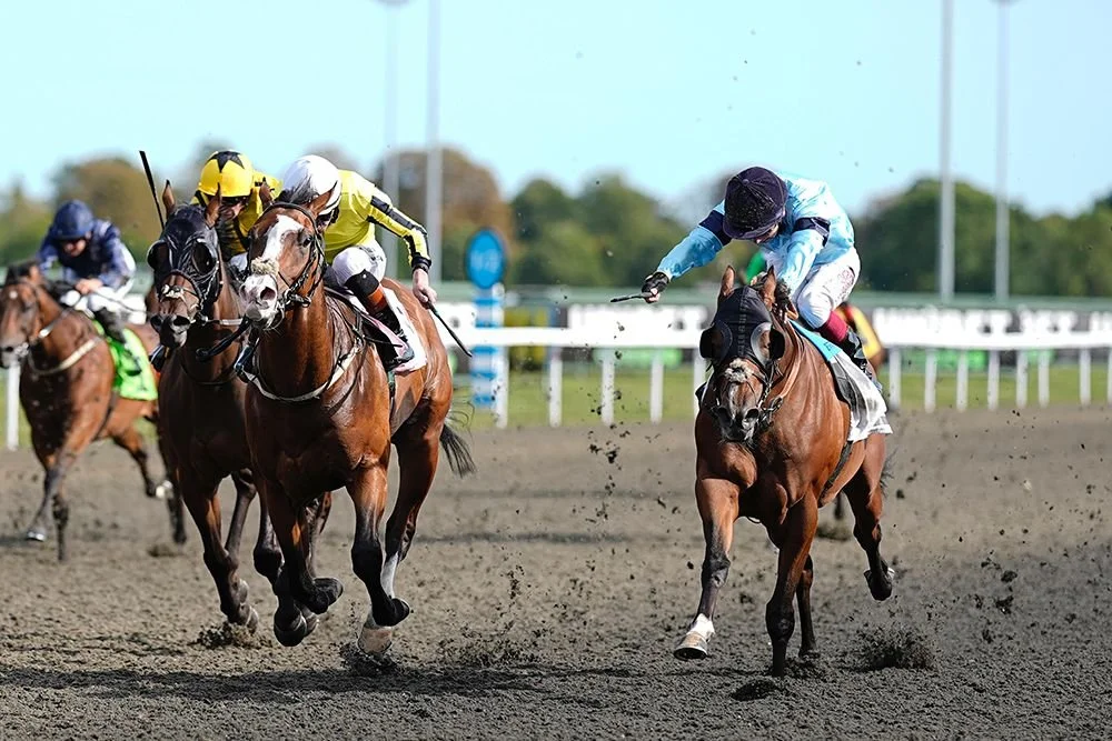 High Drama at Kempton