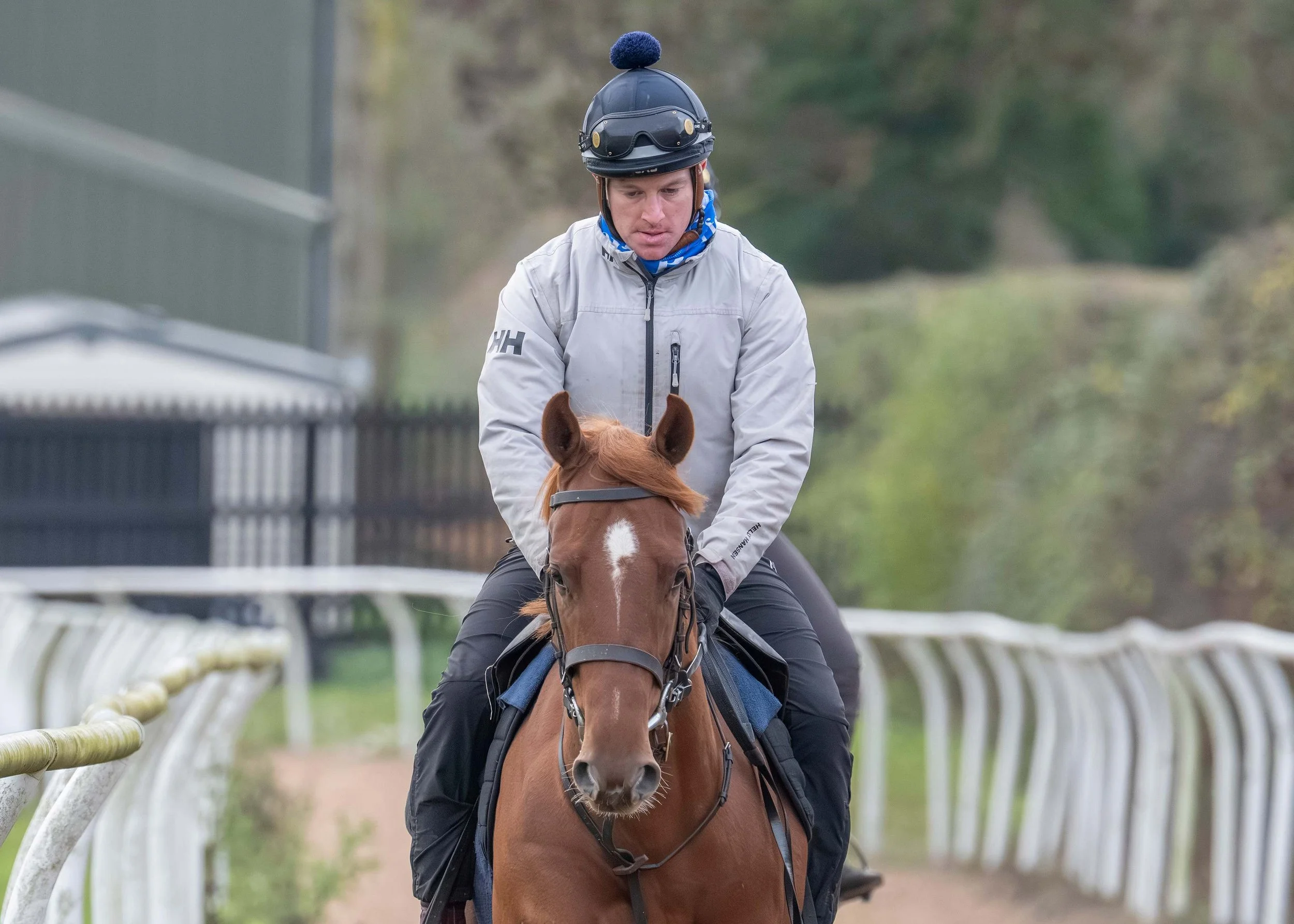 Sioux Nation colt ridden away