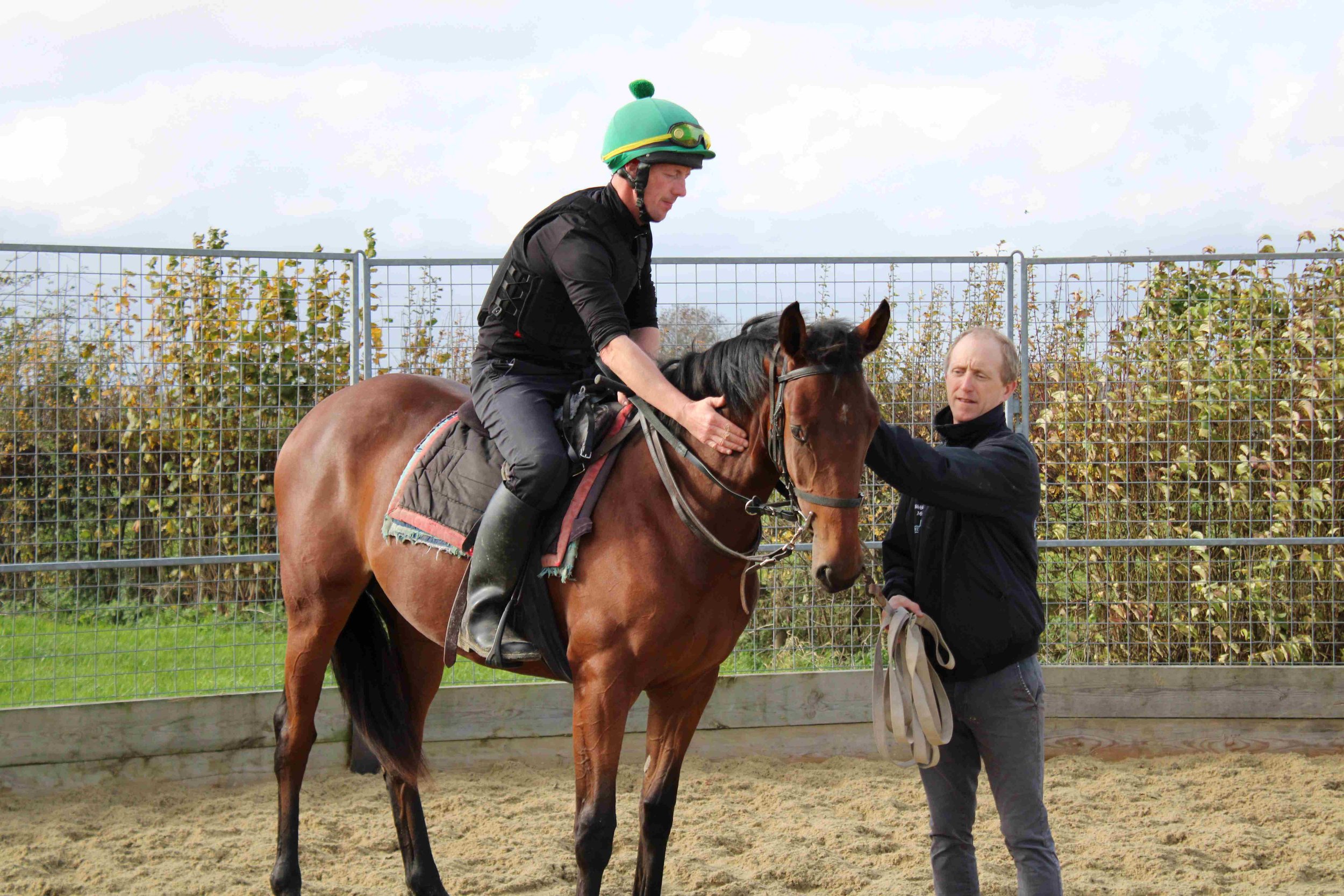 Blackbeard filly receiving plenty of praise and reassurance during pre-training