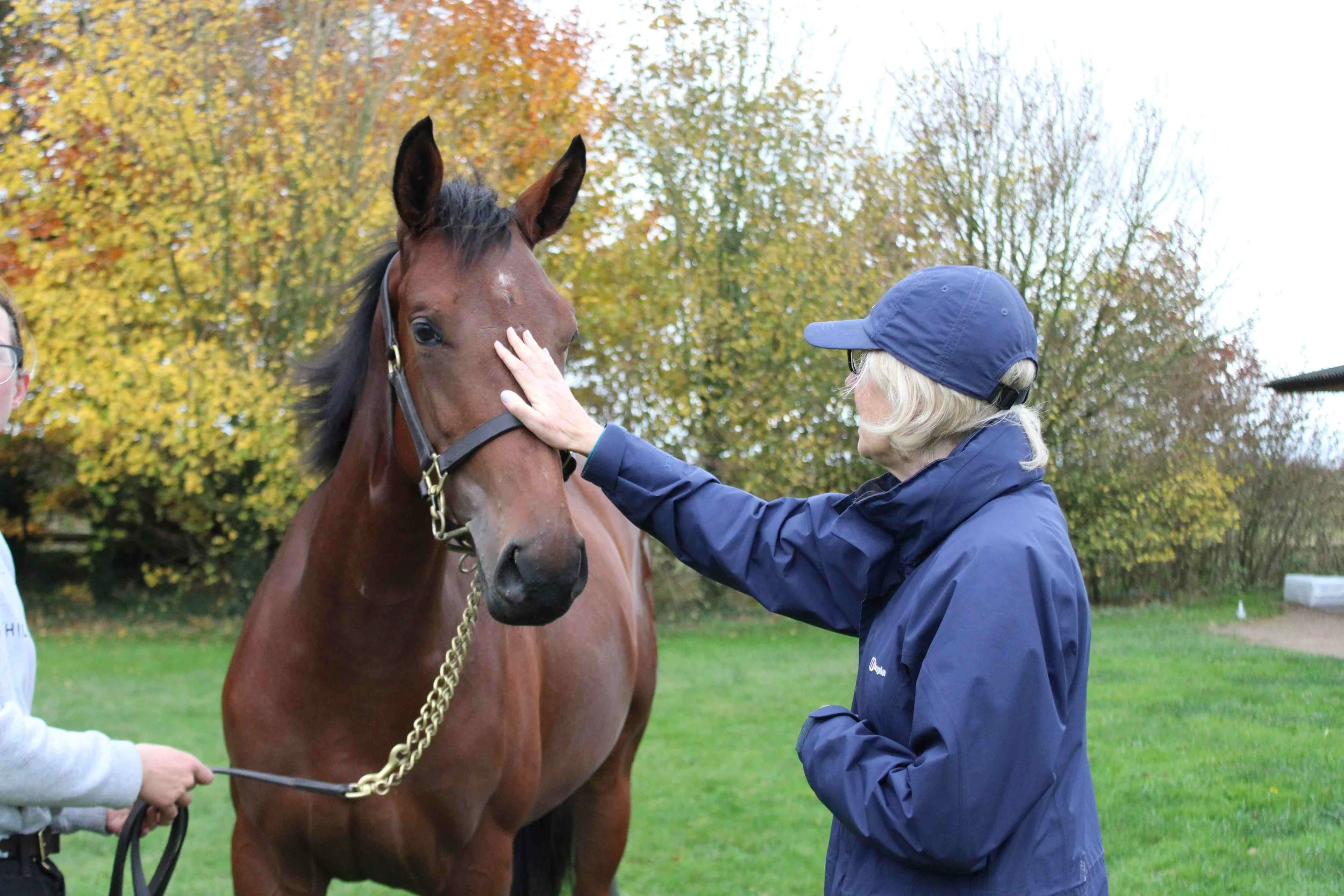 The Blackbeard filly enjoying some cuddles from Katharine Whitaker