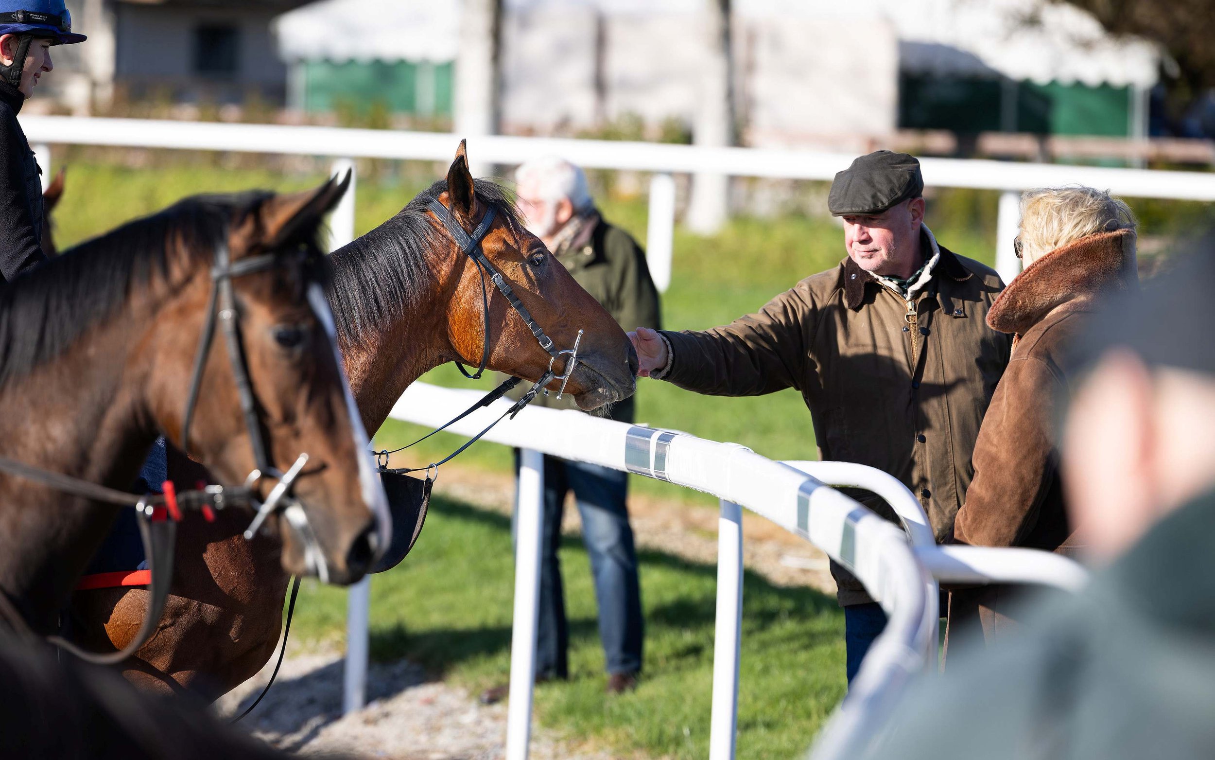 James Pindard with the Minzaal colt