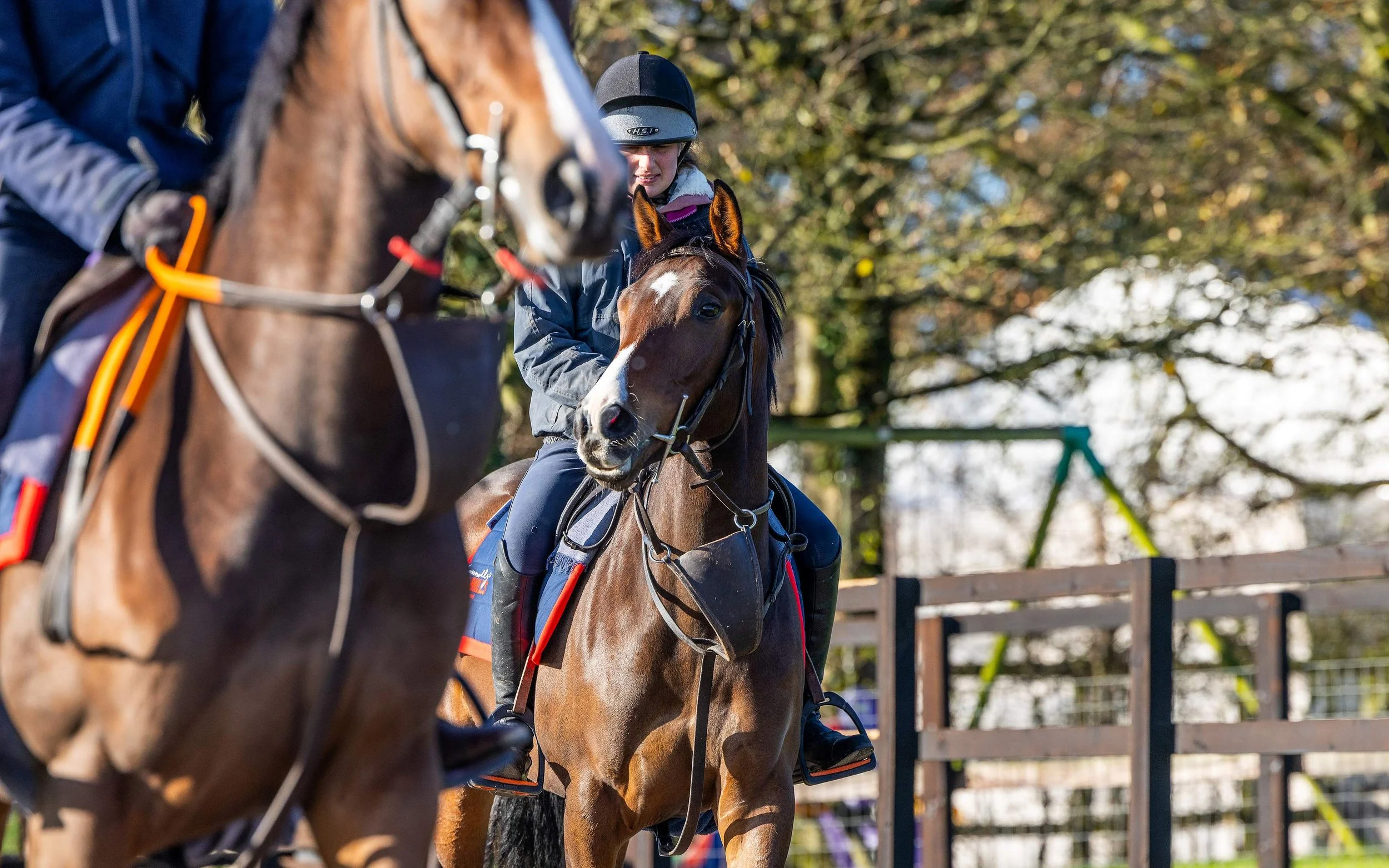 Persian Force filly ridden away in the string