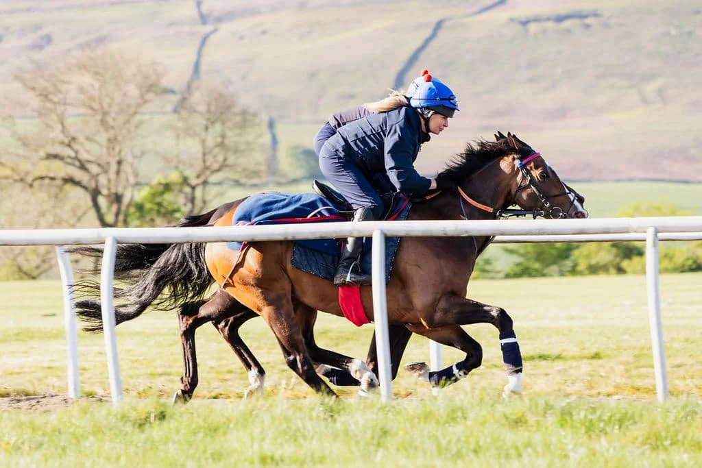 Spycatcher upsides 13.05.25_2.jpeg