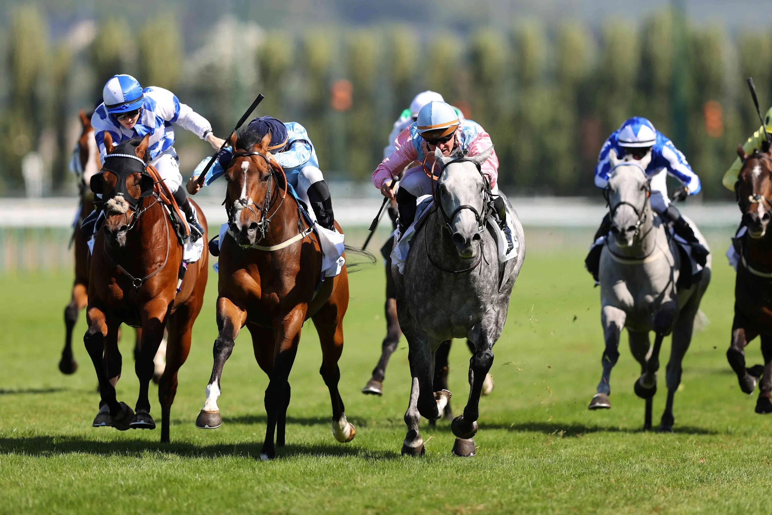 2nd in the Arc Prix Maurice de Gheest (Group 1) 06.08.23