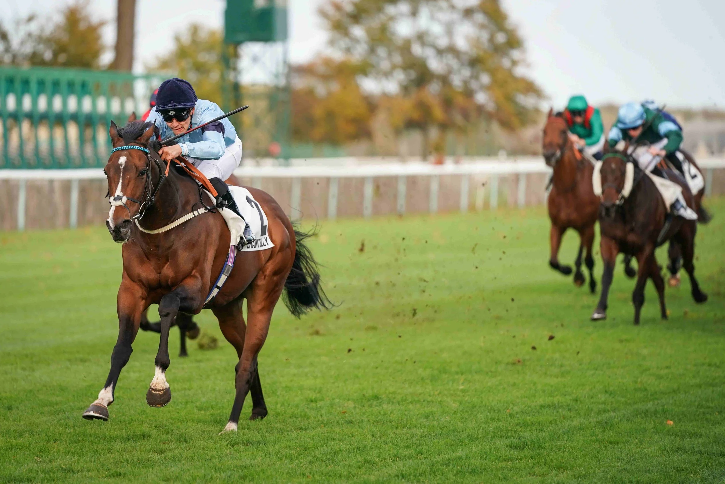 Prix de Seine-et-Oise (Group 3) Chantilly 6f win 27.10.25